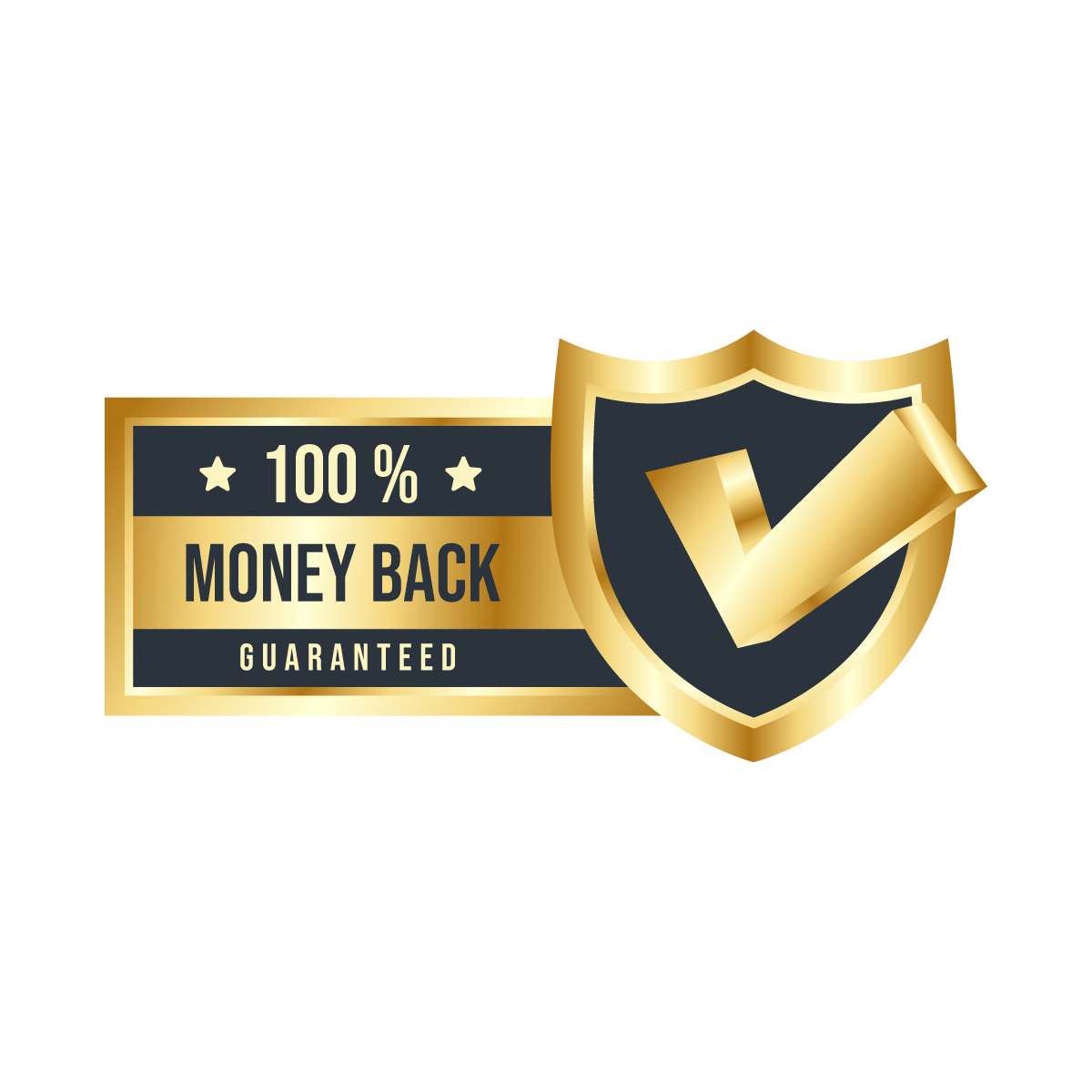 Trusted local SEO agency offering money-back guaranteed services for boosting local search rankings.